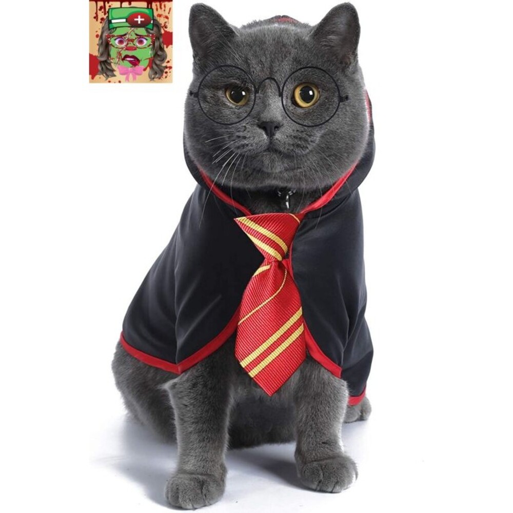 Cat Halloween Costume Anime Pet Clothes for Small Dog Kitten Costume Wizard Acce